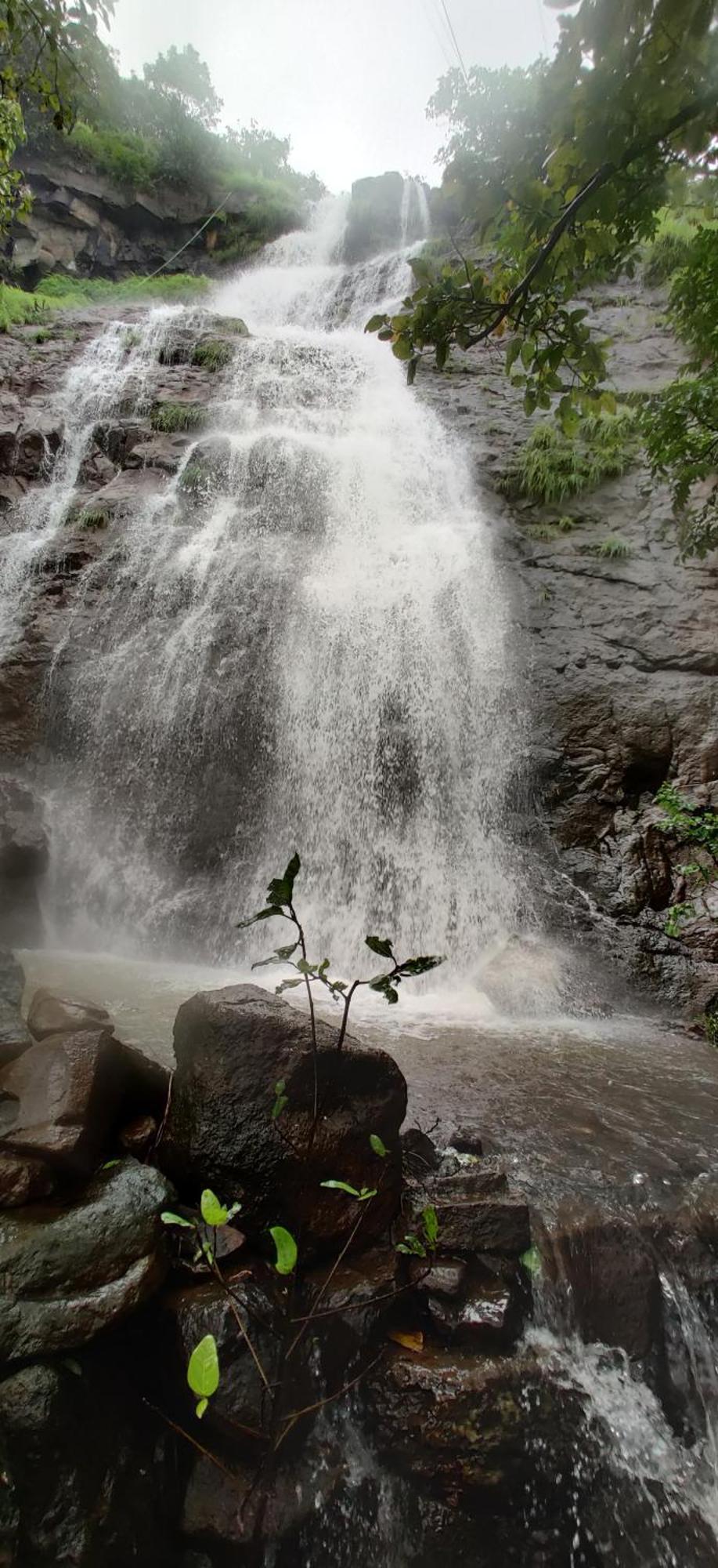 Forest Den Villa Pune Esterno foto